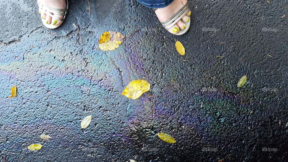 Yellow painted toenails and yellow autumn leaves on an oil slicked asphalt surface.