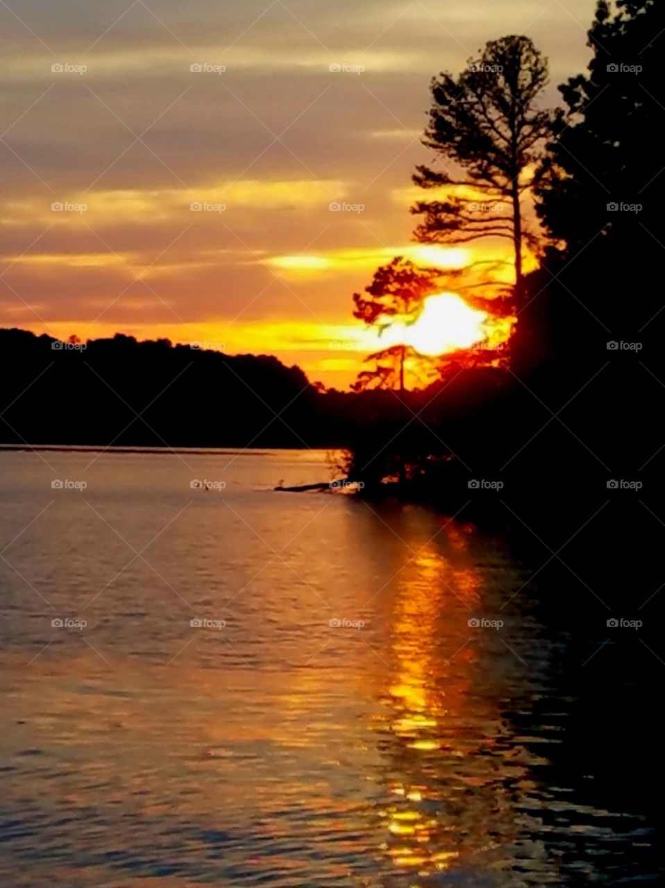 dramatic sunset.  trees, island and lake.