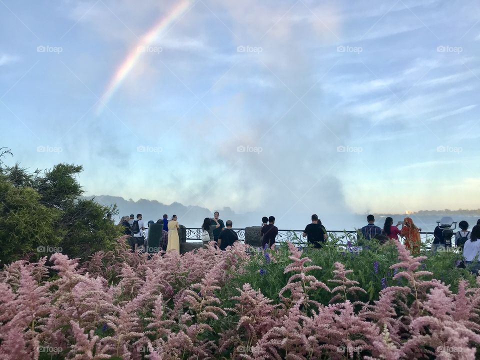 Pink followers and rainbow 