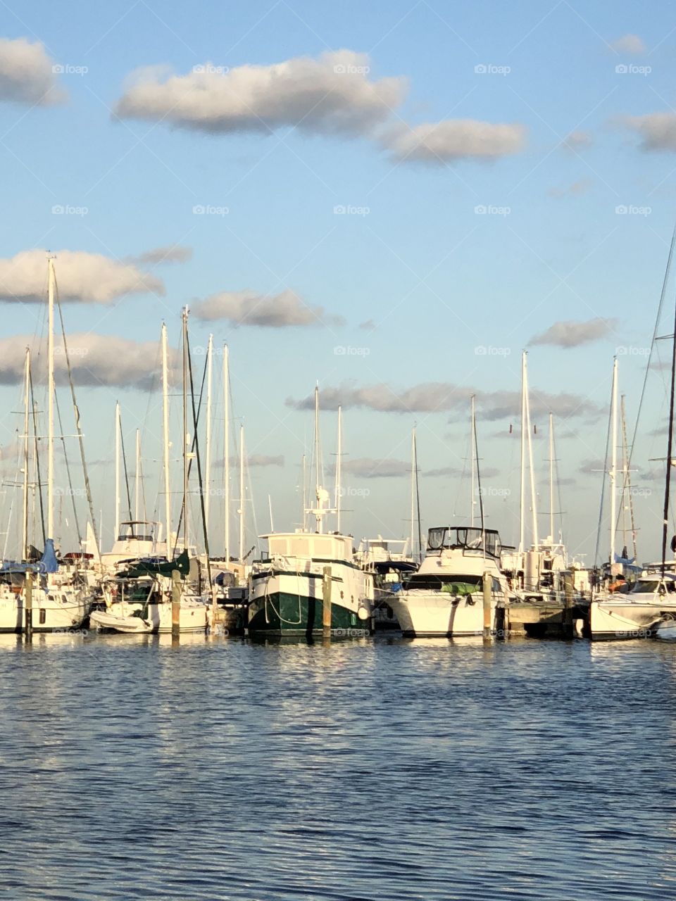 sailboats sea Florida  
