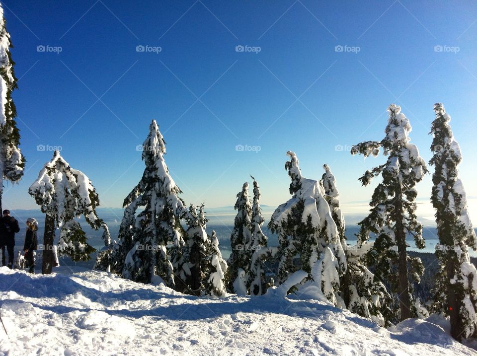 A New Year's Day snowshoe to the top of Hollyburn Mountain. Amazing views, blue sky and massive amounts of fresh snow greeted us that day. What a way to start a new year!