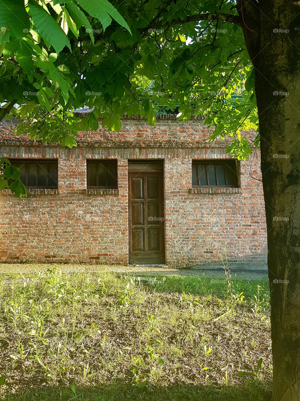 Old brick building with a green meadow