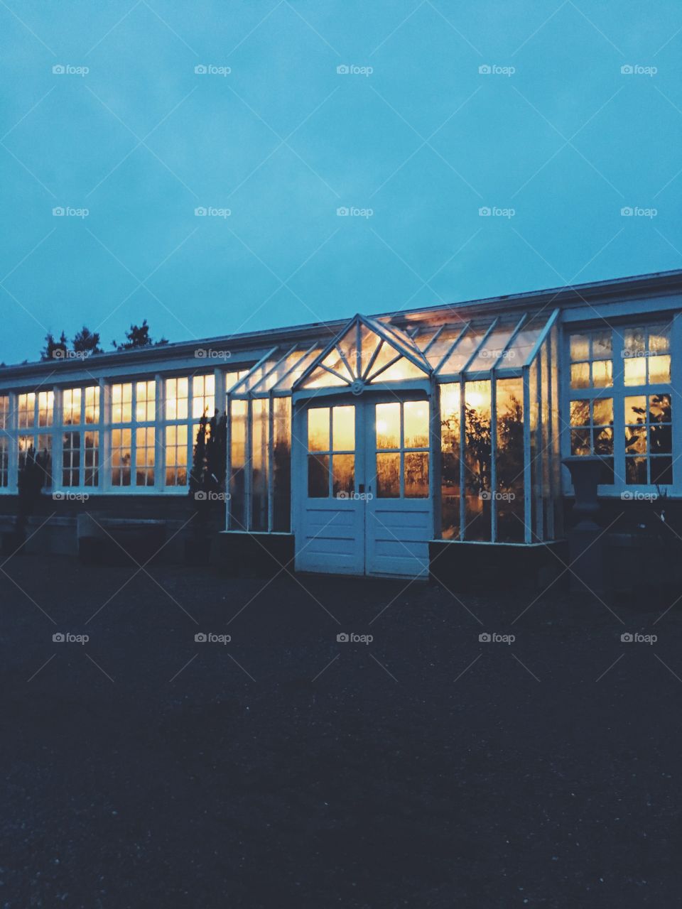 Blue view of lights in twilight at a plant nursery 