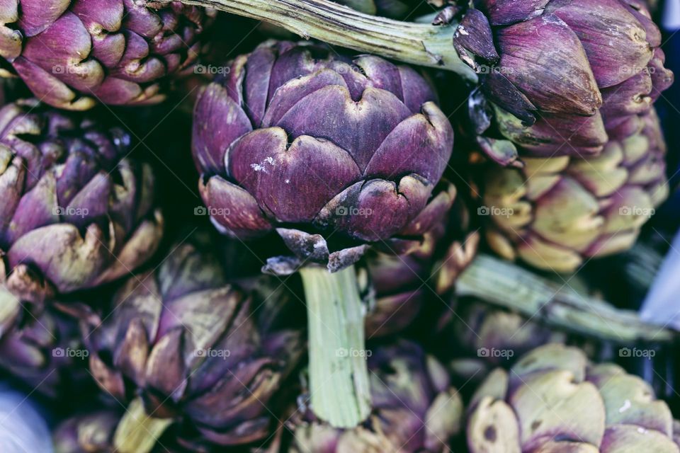 Purple artichokes 