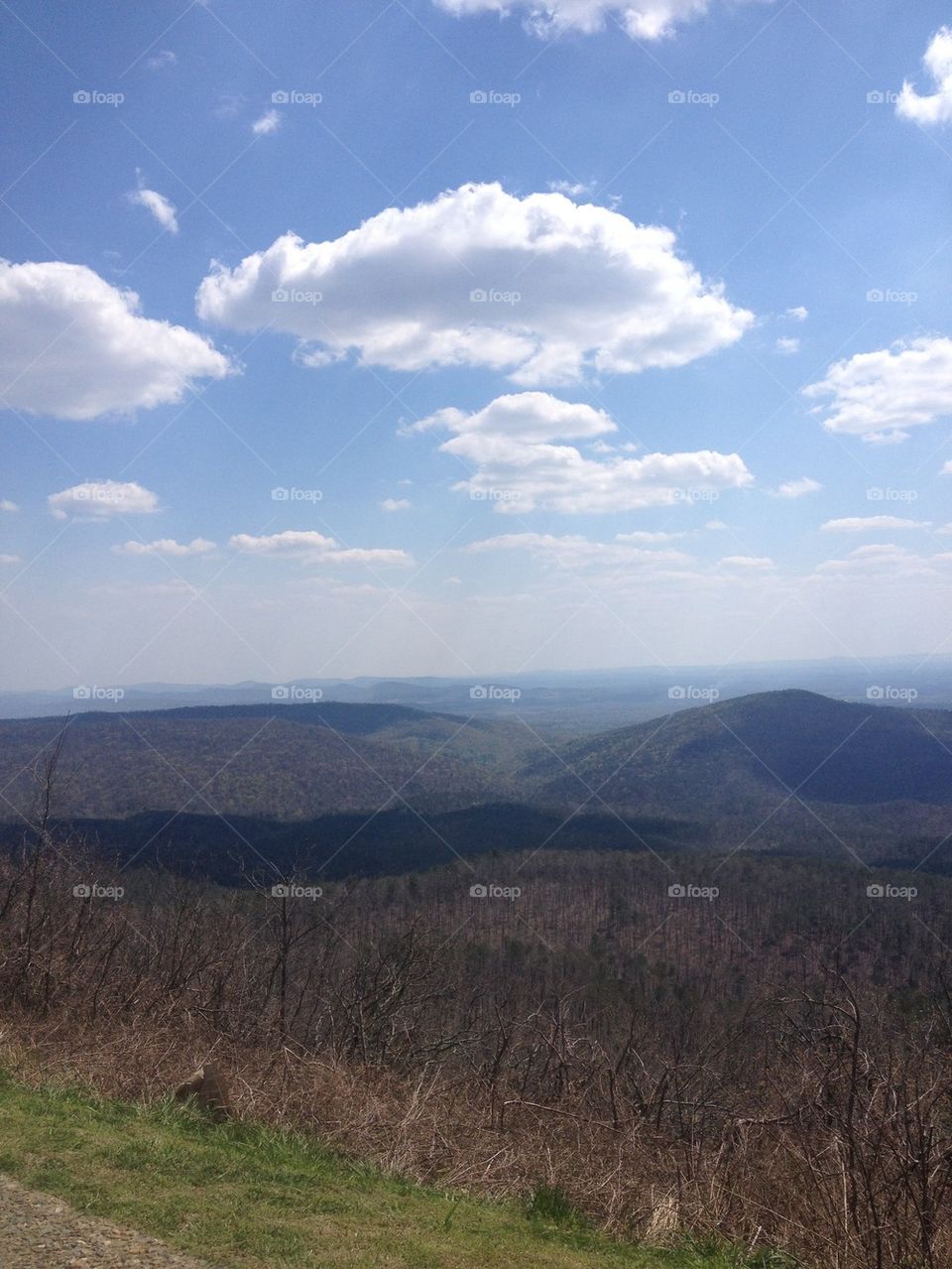 Arkansas hills