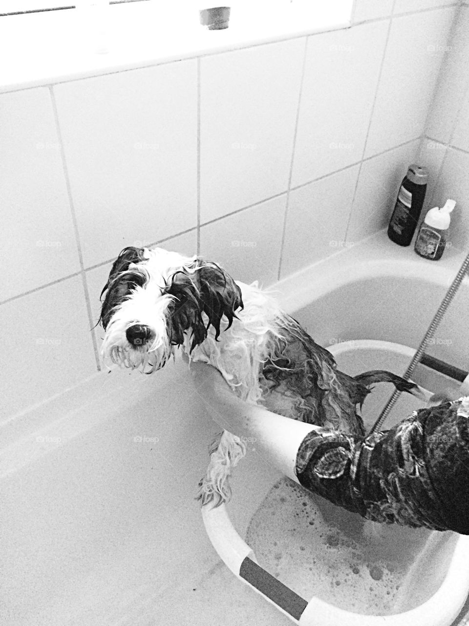 Why must you bathe me human?