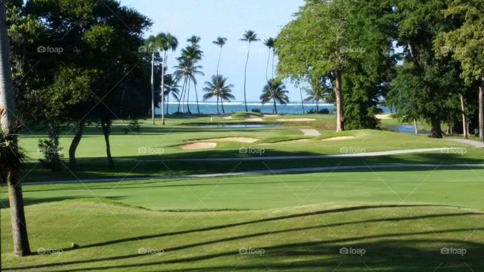 tropical gold course