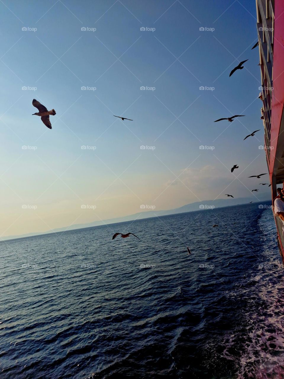 boat ride on the sea