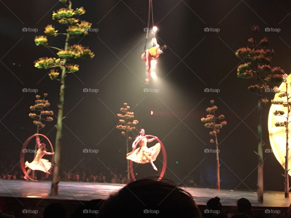 Cirque 2016