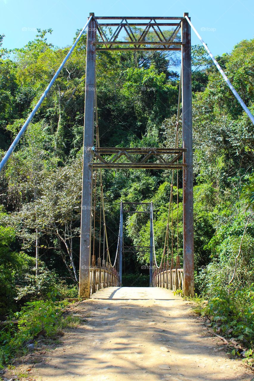 Hanging bridge in the rainforest of Costa Rica.  Dominance of geometric shapes: rectangle,  triangle,  and semicircular