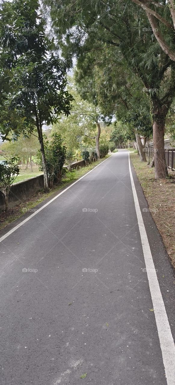 The road in Guanshan Water Park