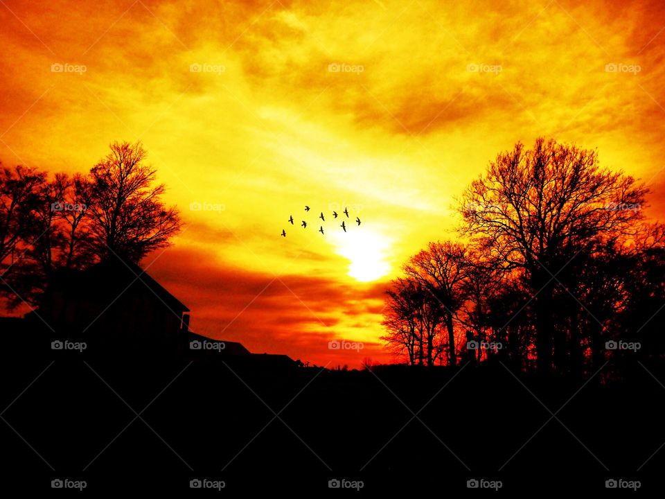 Sunset on an old farm 