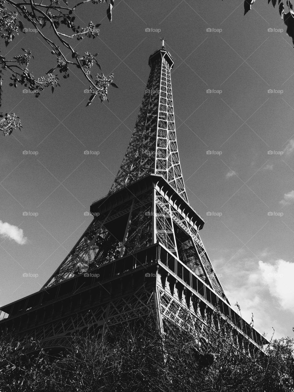 The Eiffel Tower. Paris, France