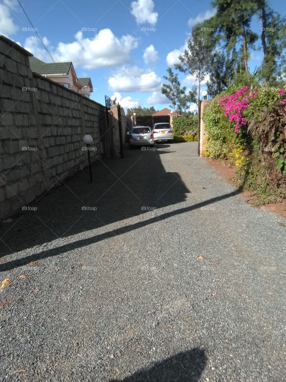 A beautifully designed driveway and a flowered hedge at the entrance of a home compound in summer.