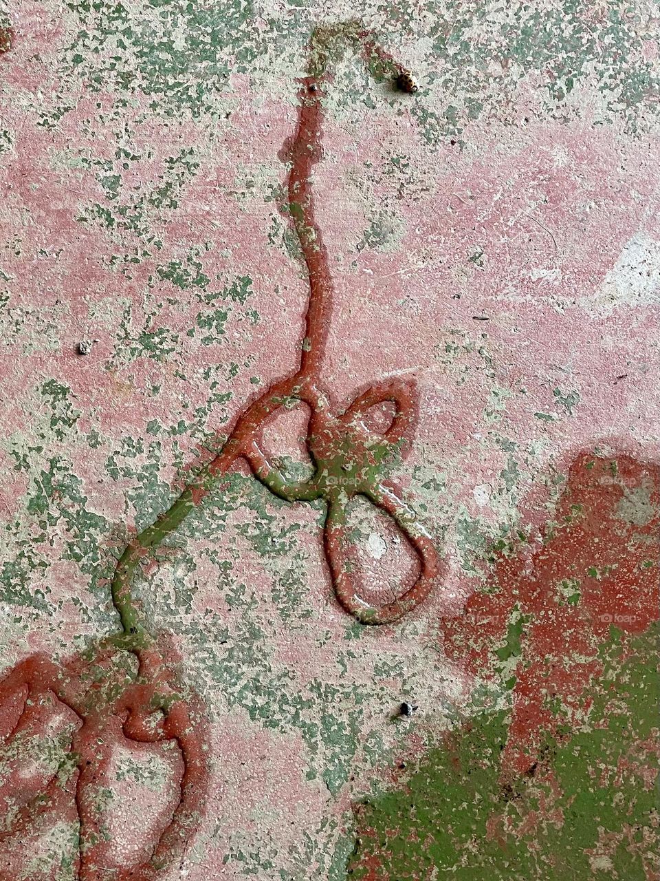 A Lady Bug’s journey