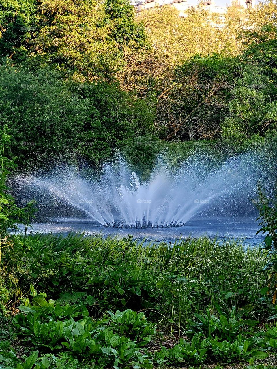 Fountain in The Park