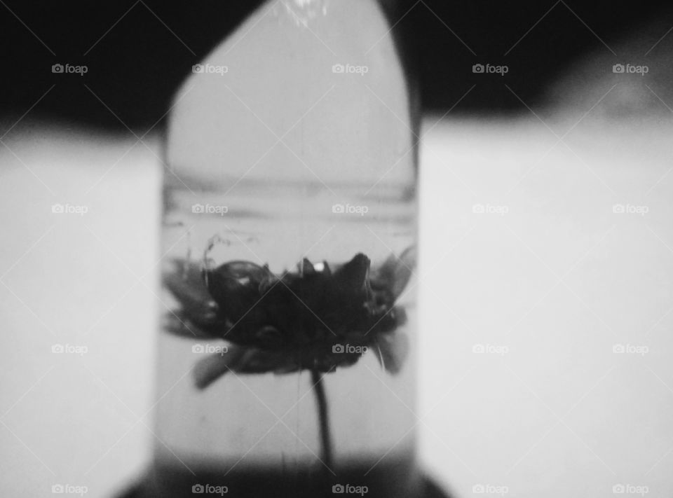 Black and white photography of a lipstick with a flower on it