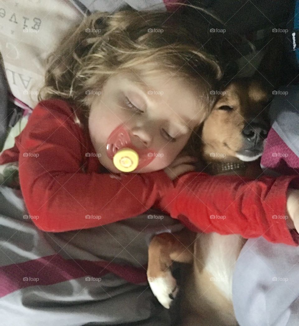 Girl sleeping with dog