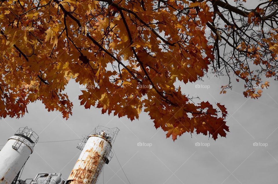 Rusty silos during autumn