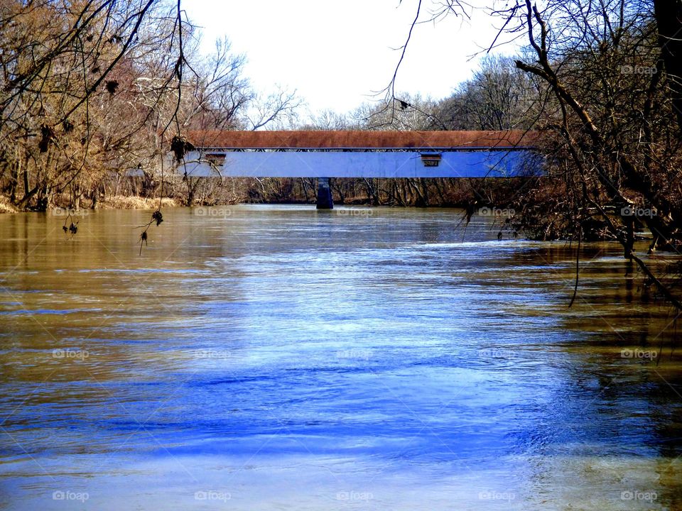 Beautiful view on the river