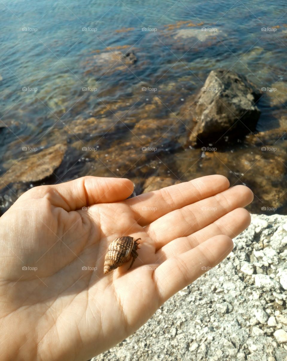 Water, Beach, Seashore, Nature, Outdoors