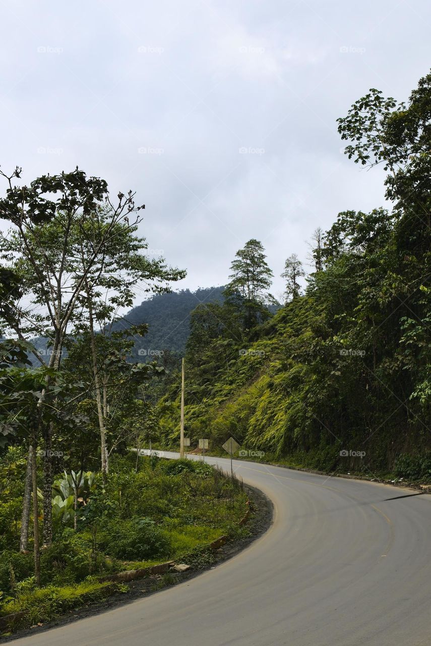 Paved road for entry to the mountains of ecuador