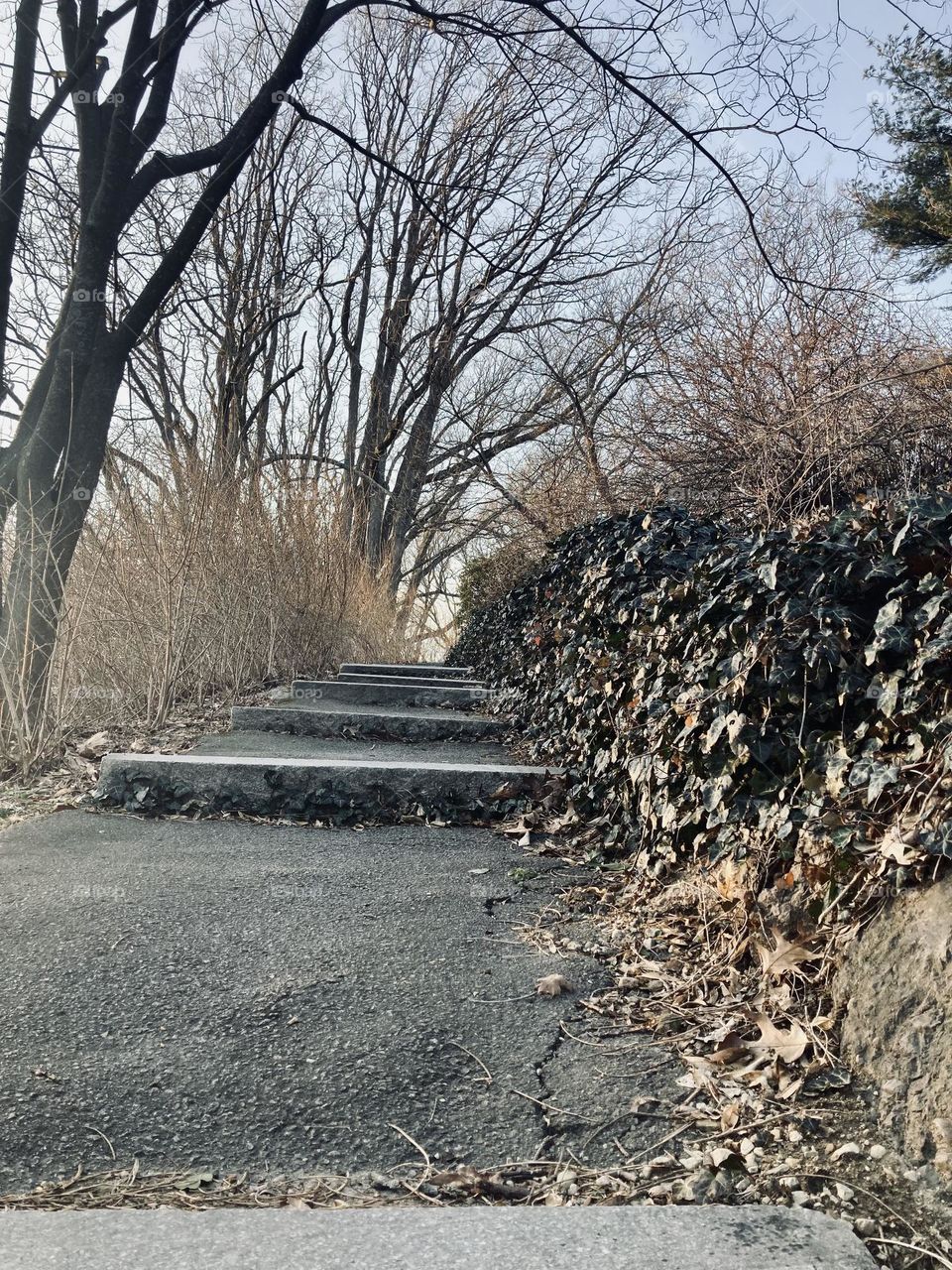 Stepping into the wilderness