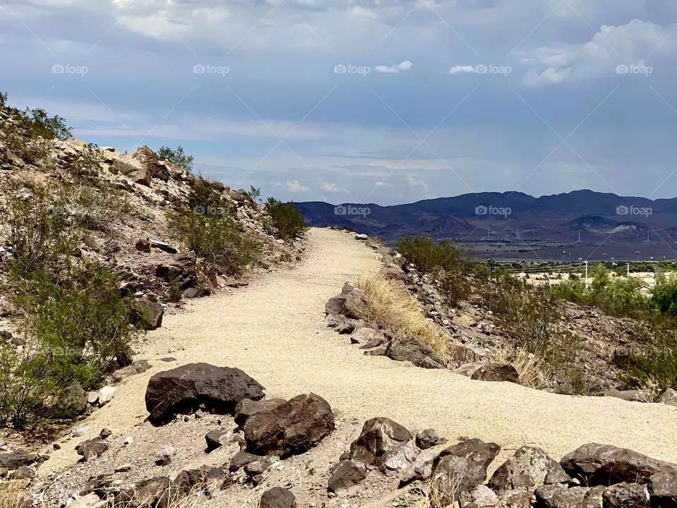 Desert landscape 