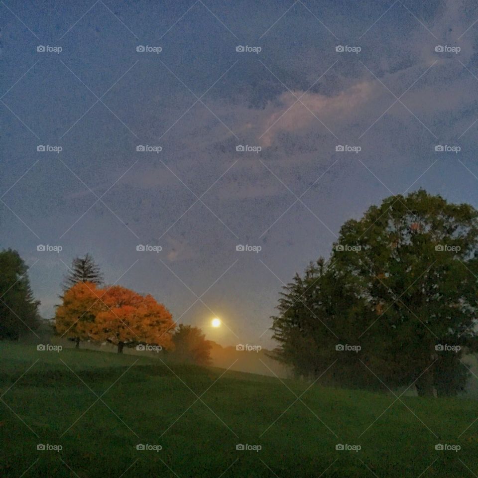 Full moon on the golf course 