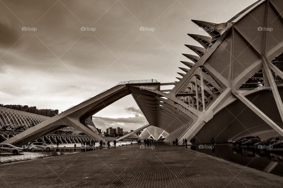 Ciudad de las Artes y las Ciencias (Valencia - Spain)