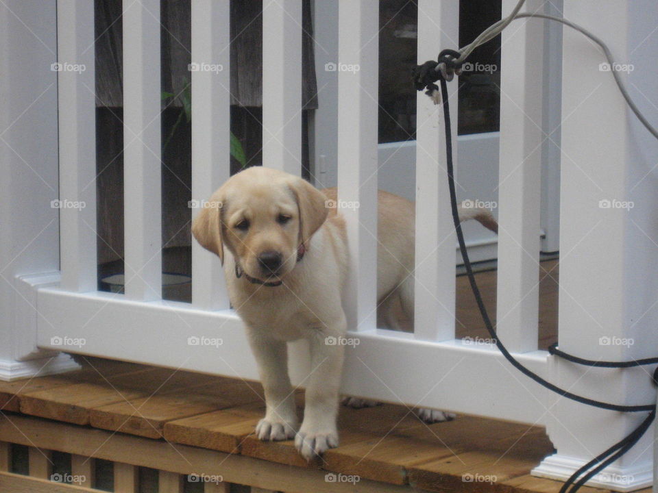 What have I gotten myself into?