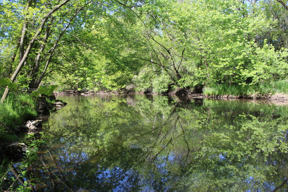 River reflections 