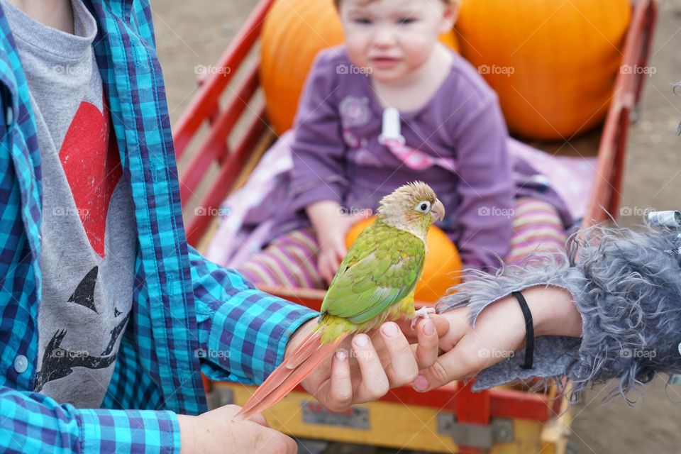 Children With Pet Bird