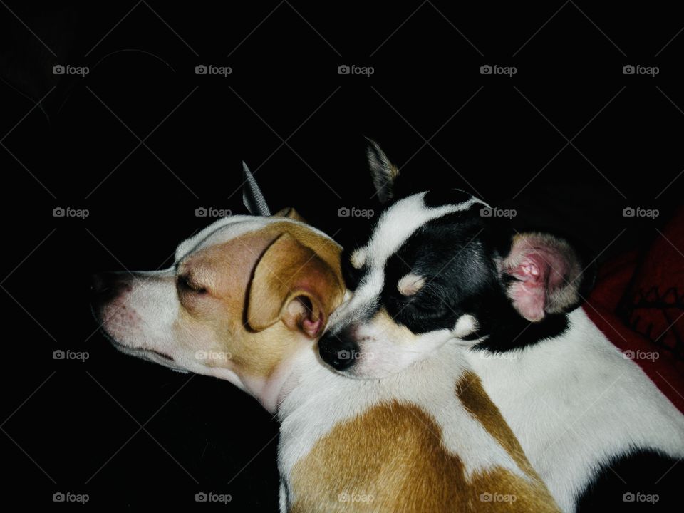 Yin and yang calmness 