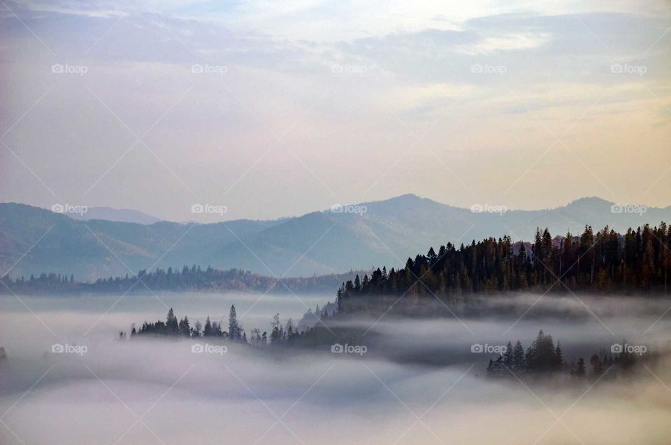 foggy morning in the carpathian mountains
