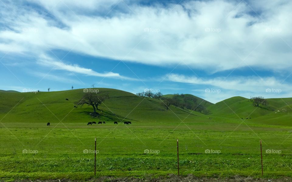 Rolling Hills