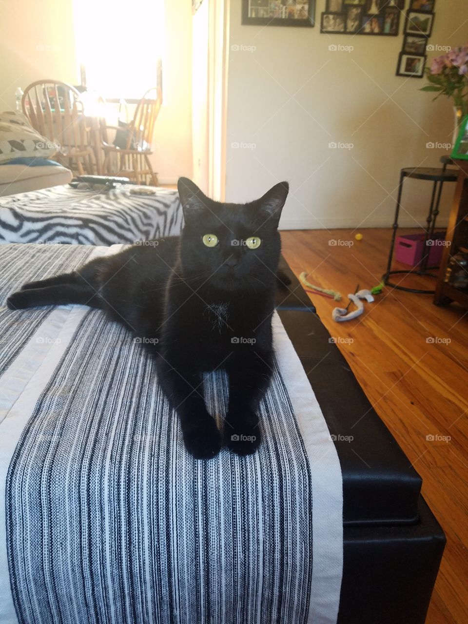 Sabrina Posing for Me - Bayside, NY: September 2017