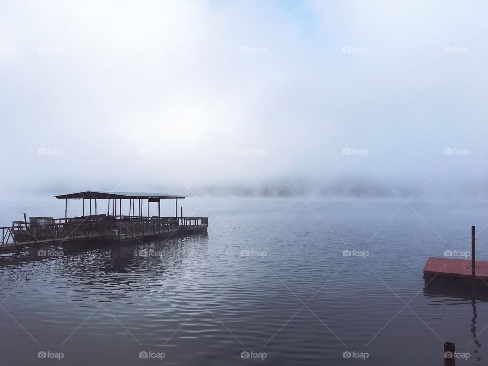 Fog on the lake