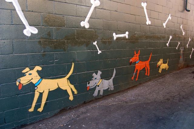 Dogs bones