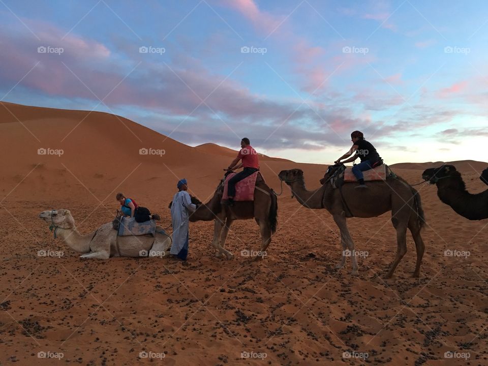 Sunset on the Sahara 