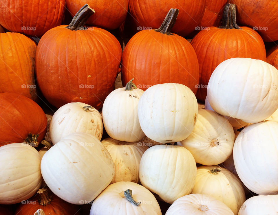 Orange and white pumpkins