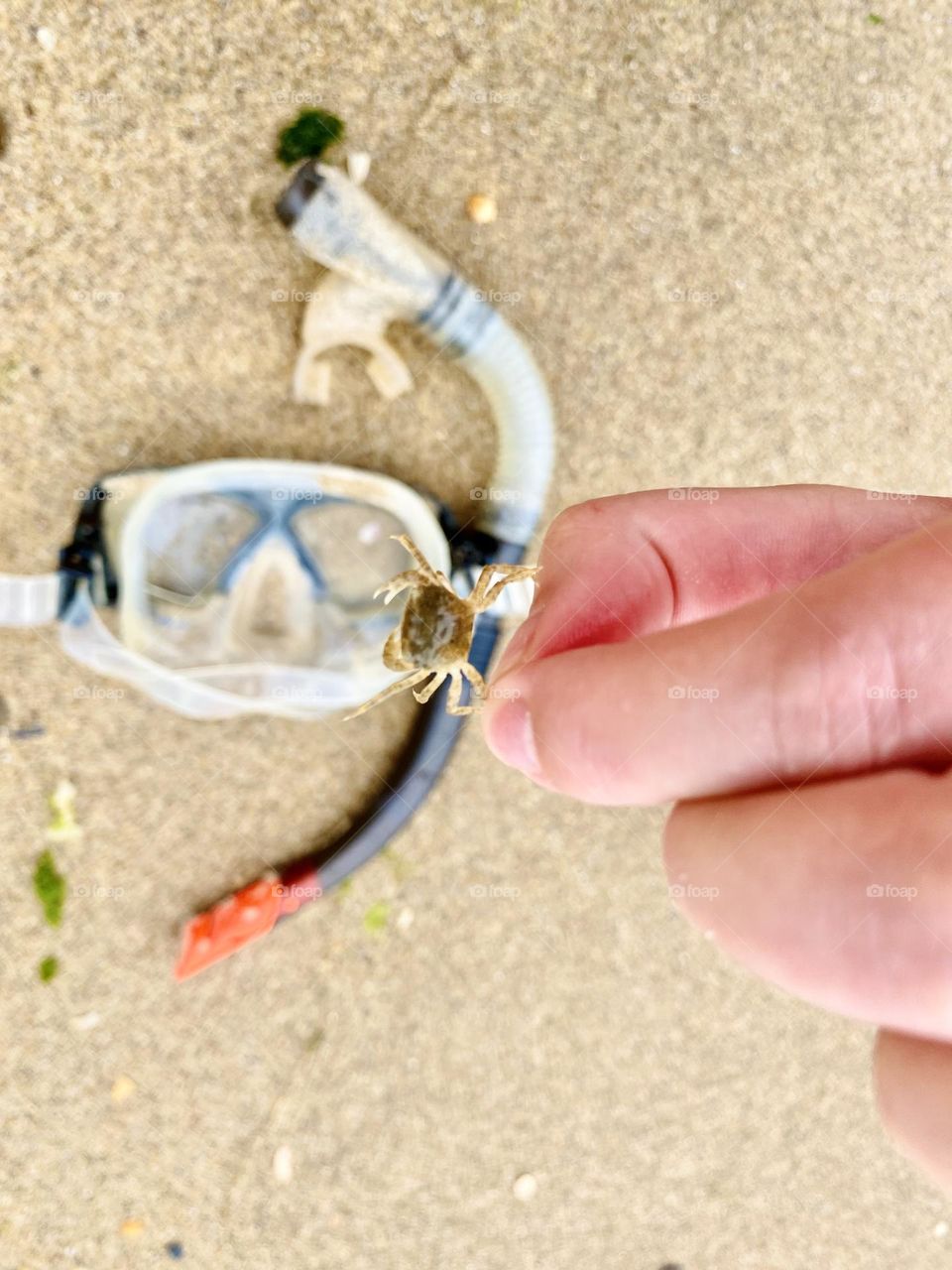 photos from the beach and the sea