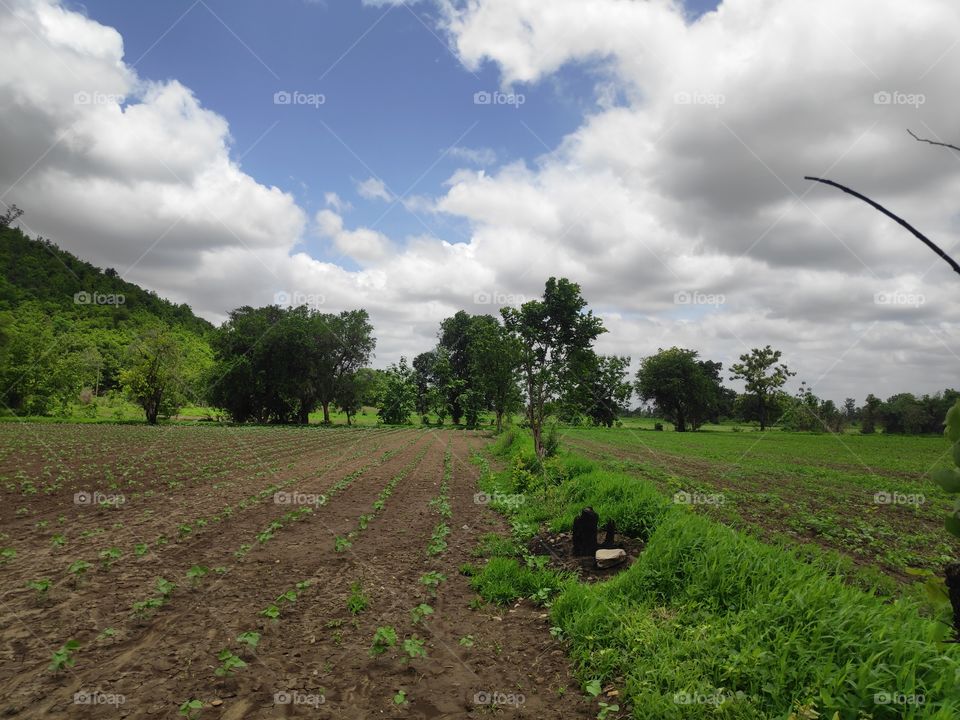 a image of agriculture fisheries