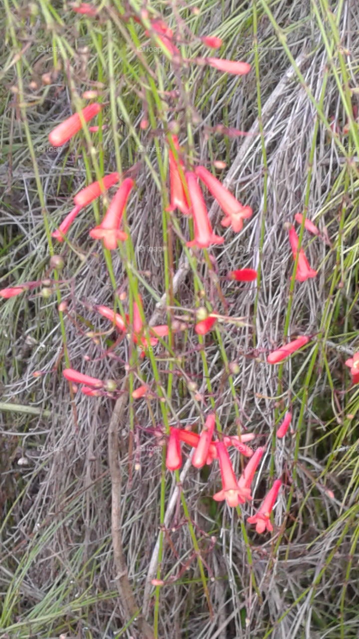 Nature create beauty