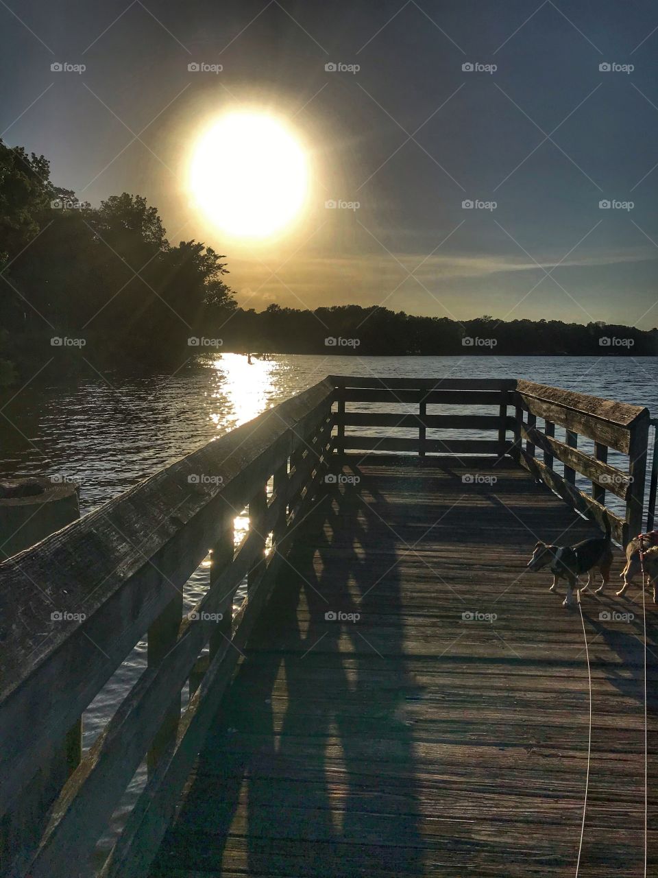 The setting sun, fishing pier, lake and 2 pups. So peaceful. 