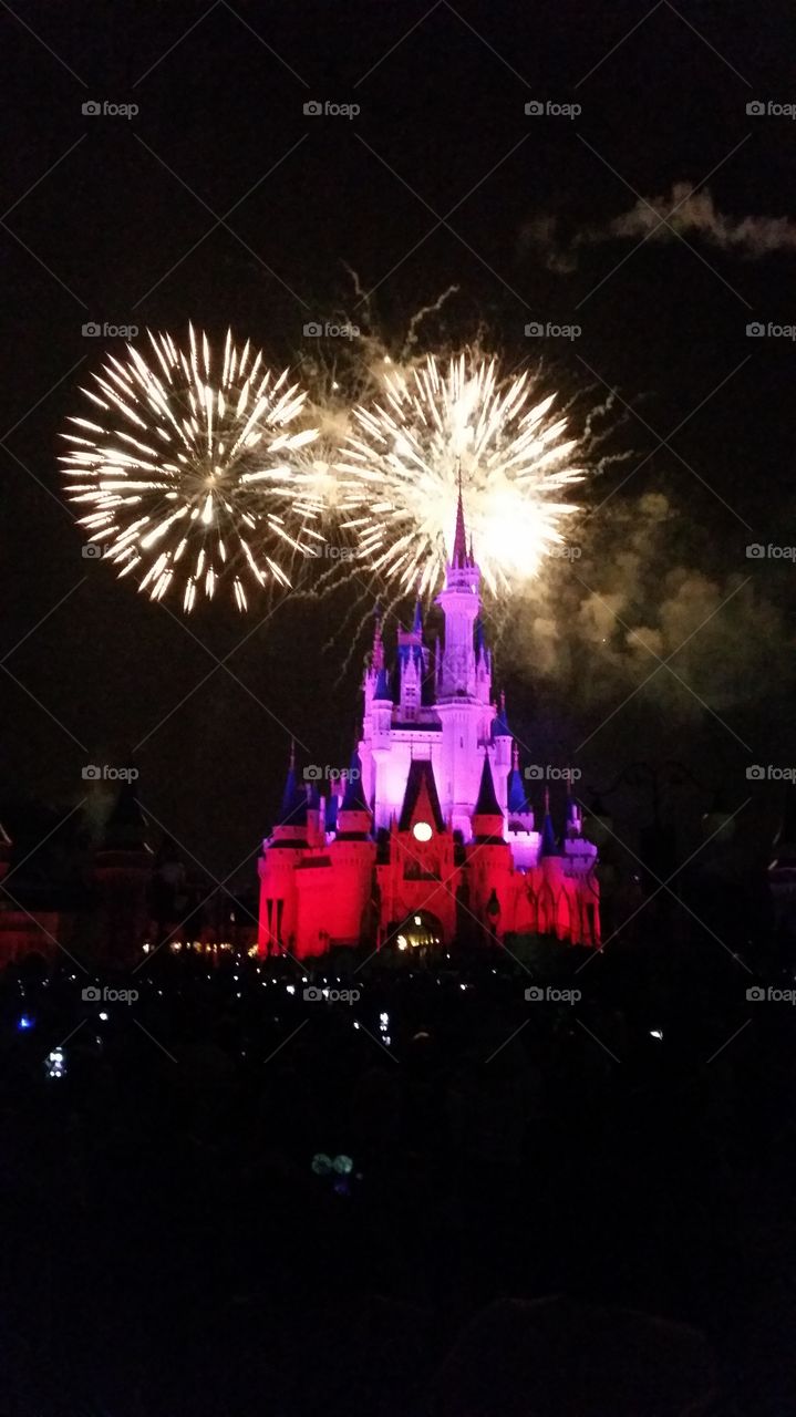 magic kingdom firework show