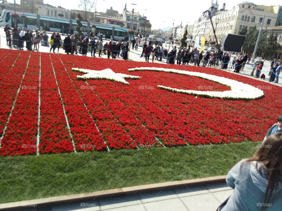 Turkish Flag from tulip (lale) 336 womens in 5 hours  with 156 tausend tulips world record 337,5 m² Konya Mevlana Museum