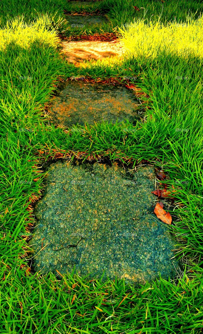 stone path in the grass 