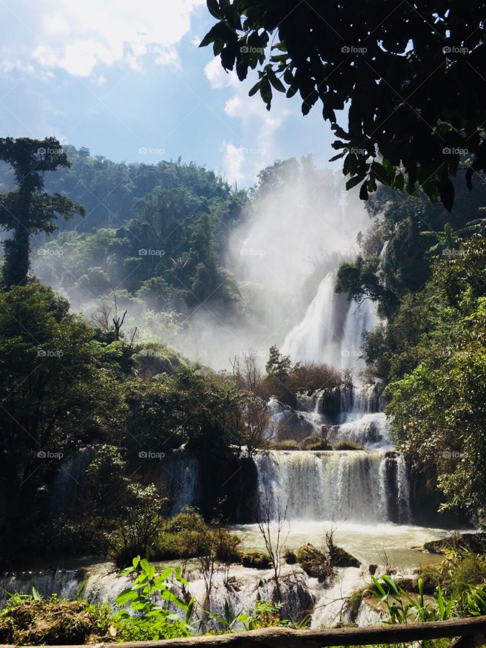 Tee low zoo waterfall