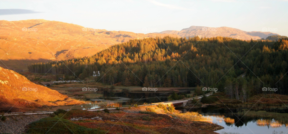 road to the highlands trees forrest fall by pandahat